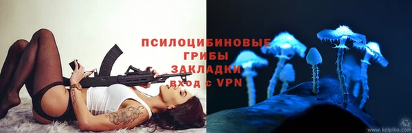 стафф Аркадак