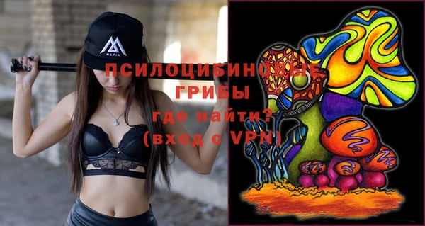 стафф Аркадак