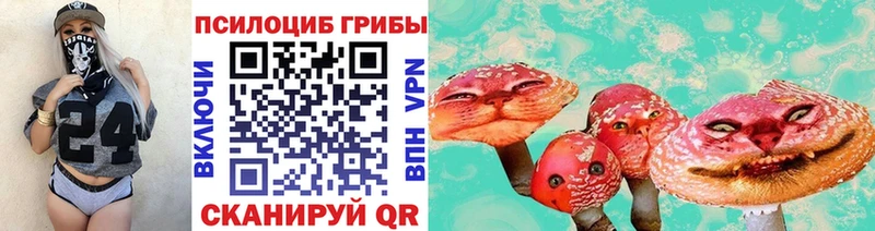 mega ССЫЛКА  Нурлат  Псилоцибиновые грибы Cubensis  купить наркоту 